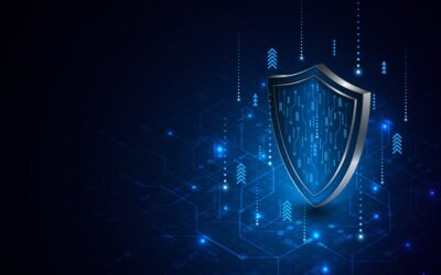 Why Immutable Backups Are Your Non-Negotiable Last Stand